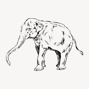 Elephant clipart, vintage wildlife illustration | Free Vector - rawpixel