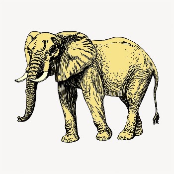 Elephant clipart, wild animal illustration | Free Vector - rawpixel