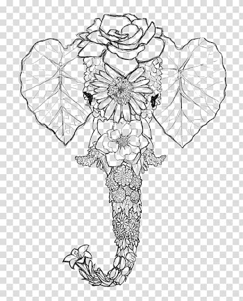 Elephant Drawing Coloring book Line art, Elephant Head transparent background PNG clipart