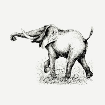 Elephant drawing, vintage animal, wildlife | Free PSD - rawpixel