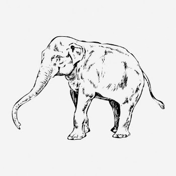 Elephant drawing, vintage wildlife illustration. | Free Photo - rawpixel