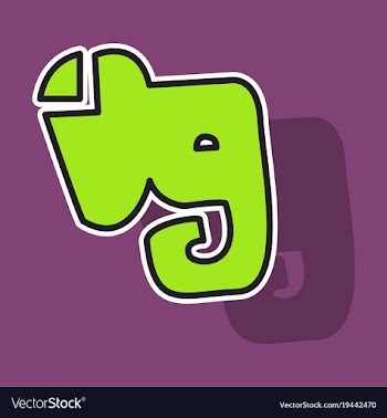 Elephant evernote logo vector image