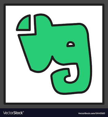 Elephant evernote logo vector image