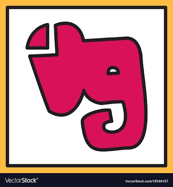 Elephant evernote logo vector image