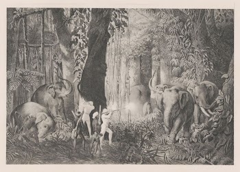 Elephant hunting with hounds. | Free Photo - rawpixel