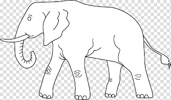 Elephant Line art Drawing , elephants transparent background PNG clipart