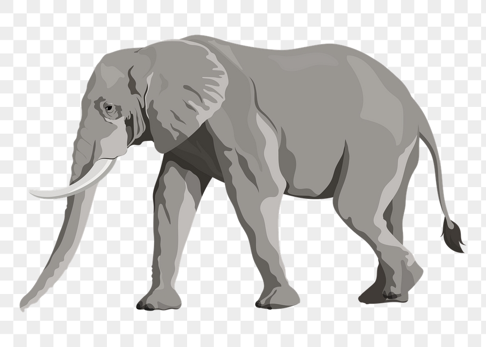 Elephant png illustration sticker, safari | Free PNG Illustration - rawpixel