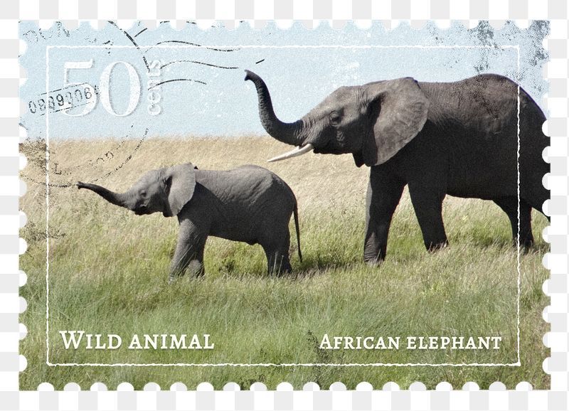 Elephant png post stamp sticker, | Free PNG - rawpixel