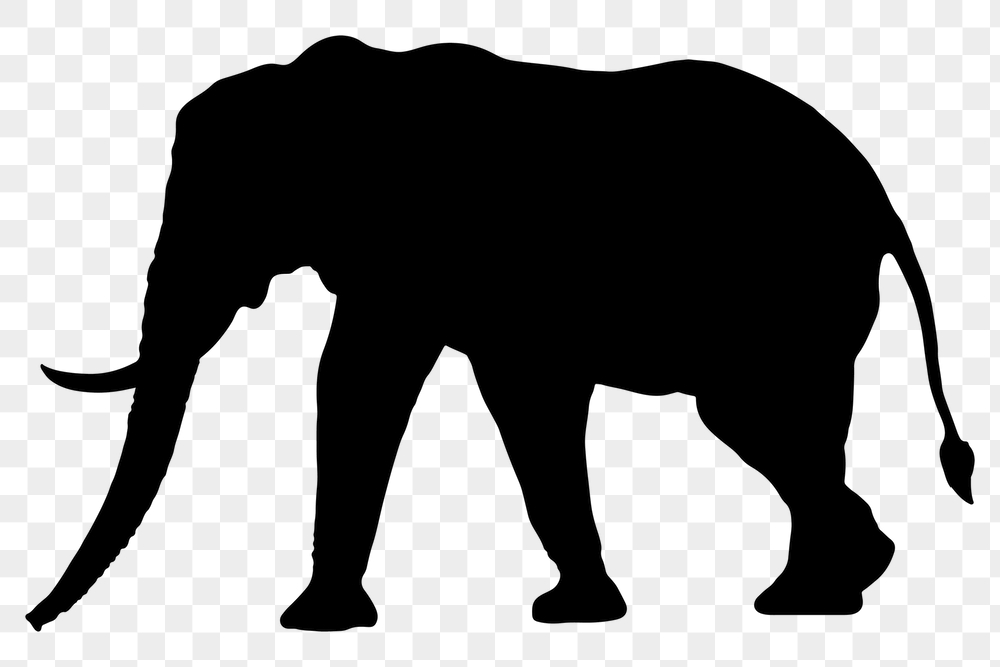 Elephant png silhouette sticker, safari | Free PNG - rawpixel