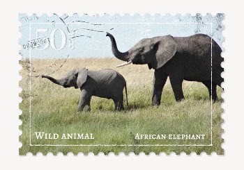 Elephant postage stamp, animal collage | Free PSD - rawpixel