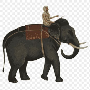 Elephant rider png sticker, Indian | Free PNG - rawpixel