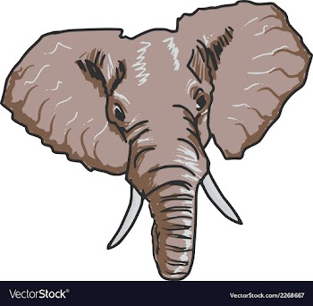 Elephant vector image
