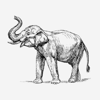 Elephant, vintage animal clipart. Free | Free Photo Illustration - rawpixel