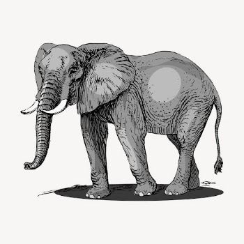 Elephant, wild animal clipart, vintage | Free Vector - rawpixel