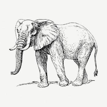 Elephant, wild animal collage element, | Free PSD - rawpixel