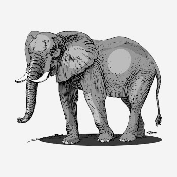 Elephant, wild animal hand drawn | Free Photo - rawpixel