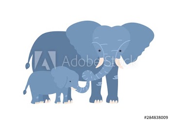 Elephant with calf isolated on white background