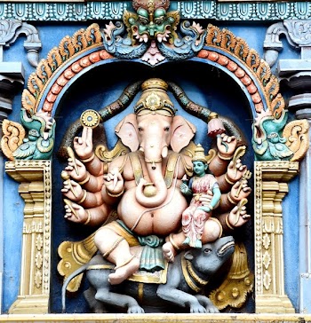 Elephant With Multiple Hands Picture
