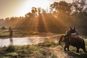 Elephants at sunset in Sauraha, | Free Photo - rawpixel
