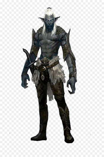 Elf png download - 736*1341 - Free Transparent Dungeons Dragons ...