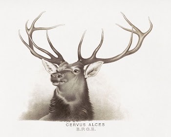 Elk (1890) aesthetic lithograph. Original | Free Photo - rawpixel