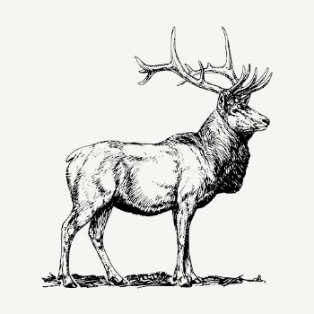 Elk, wild animal collage element, | Free PSD - rawpixel