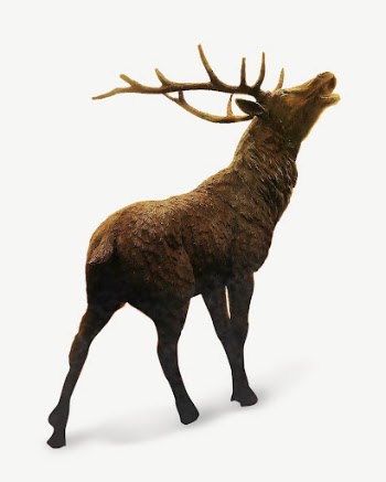 Elk with antlers collage element | Free PSD - rawpixel