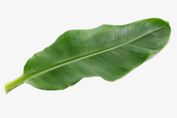Emerald Green Leaf Png Picture, Clipart, In Kind, Green Leaves PNG ...