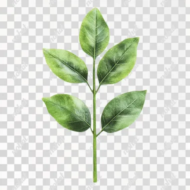 Emerald Leaf Sapling: Nature's Fresh Beginning Emerald Leaf Sapling: Nature's Fresh Beginning