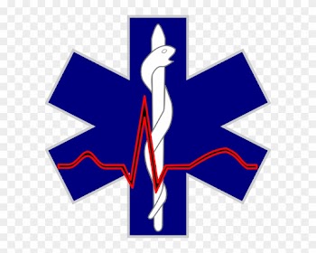 Emergency Medical Services Logo