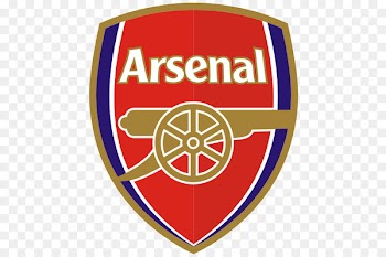 Emirates Stadium Arsenal F.C. Premier League FA Cup Arsenal L.F.C. - arsenal f.c. 