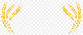 Emmer, Line, Yellow, Orange PNG