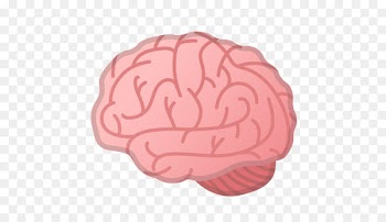 Emoji Brain Emoticon Apple Color Emoji Agy - Emoji 