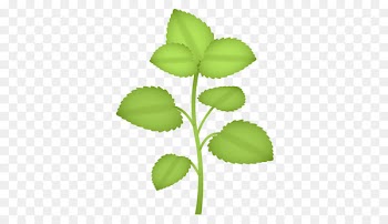Emoji Plant Herb SMS WhatsApp - herb 