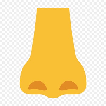Emoji Text messaging Android Marshmallow WhatsApp SMS - nose 