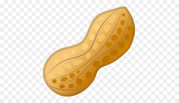 Emojipedia Peanut Android Oreo Food - groundnut 