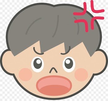 Emotion Child Facial expression Anger Infant - child 