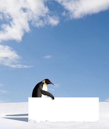 Emperor penguin holding a billboard