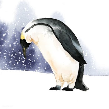 Emperor penguin in the snow watercolor vector | Free stock vector - 489396