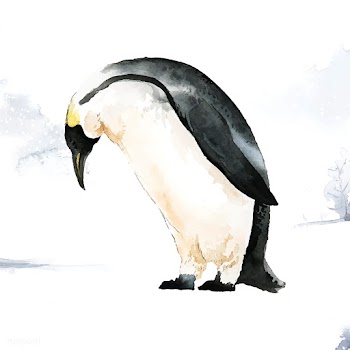 Emperor penguin in the snow watercolor vector | Free stock vector - 489507