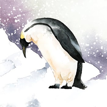 Emperor penguin in the snow watercolor vector | Free stock vector - 489545