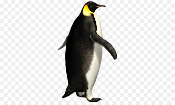 Emperor penguin Portable Network Graphics Image Clip art - penguin 