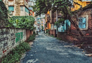 Empty Asphalt Street in Between Brick Wall and Houses