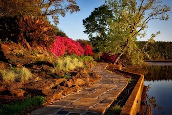Empty Brown Pathway