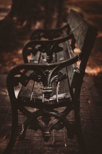Empty Brown Wooden Bench