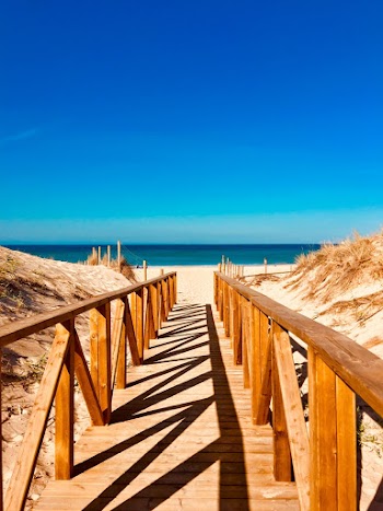 Empty Brown Wooden Dock Towards Beach
