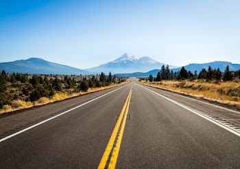 Empty Concrete Road Near Trees