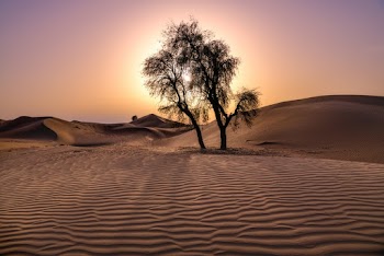 Empty Desert