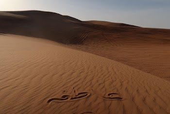 Empty Desert