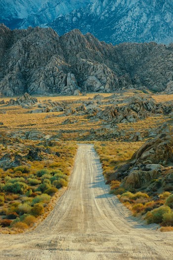 Empty Dirt Road